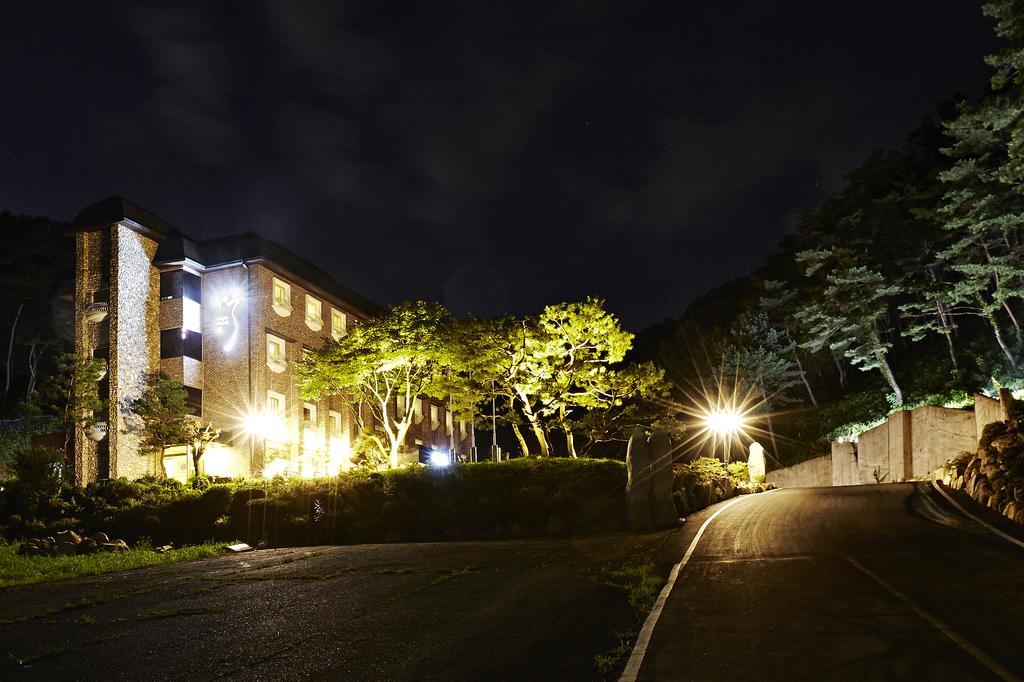 Hotel Namoo Cheong-Ju Cheongju Rum bild